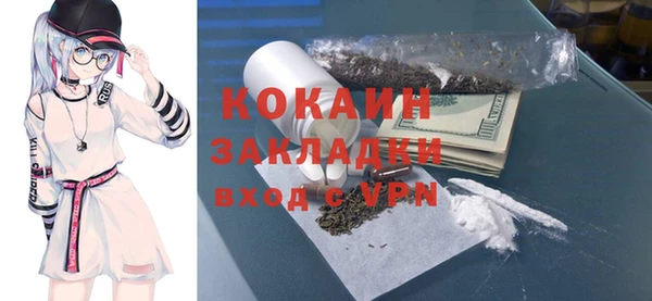 прущий лед Бородино
