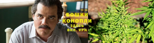 крисы Елизово