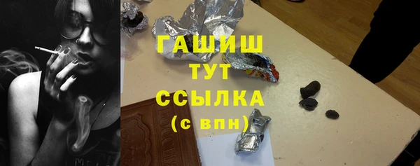 прущий лед Бородино