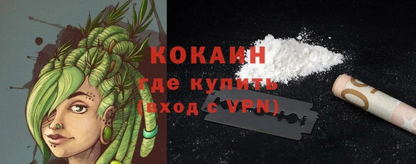 прущий лед Бородино